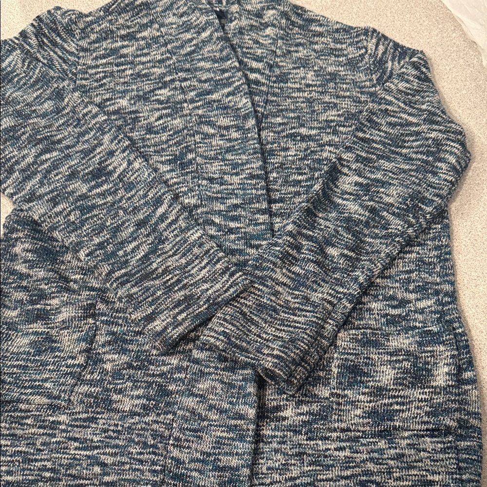 Architect Blue and White Knit Sweater PL EUC